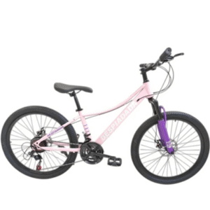 Bicicleta R24 Dama Nahel