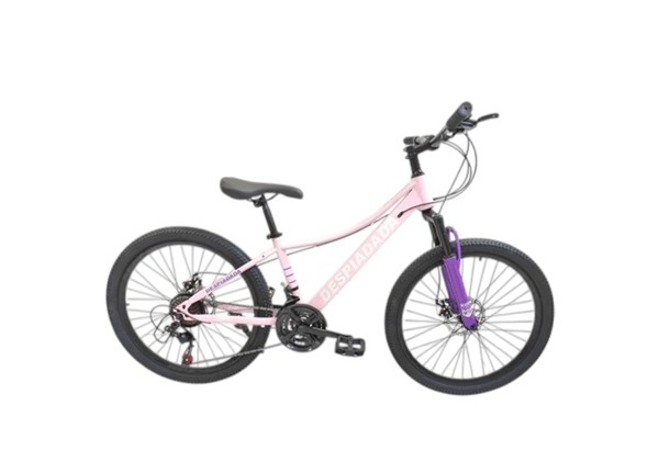 Bicicleta R24 Dama Nahel