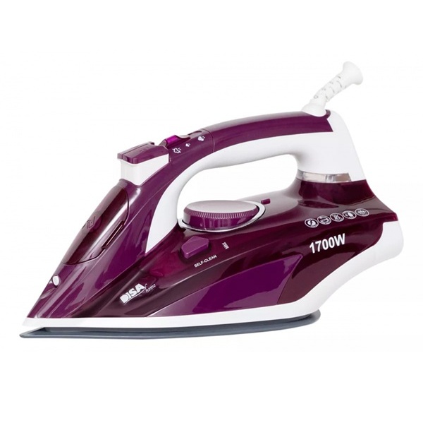 Plancha de Vapor Iron Pro Disa - Imagen 2