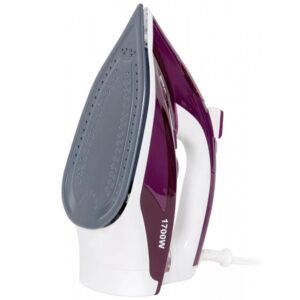 Plancha de Vapor Iron Pro Disa