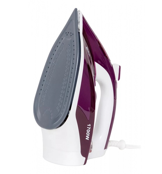 Plancha de Vapor Iron Pro Disa